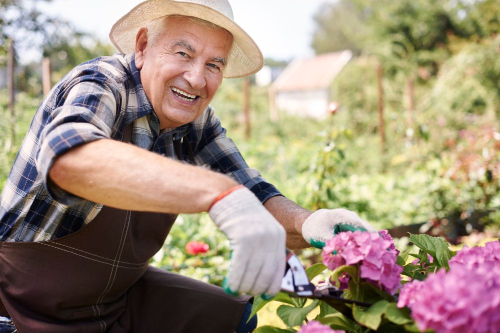 Green Thumbs: Affordable Garden and Landscaping Projects for Seniors